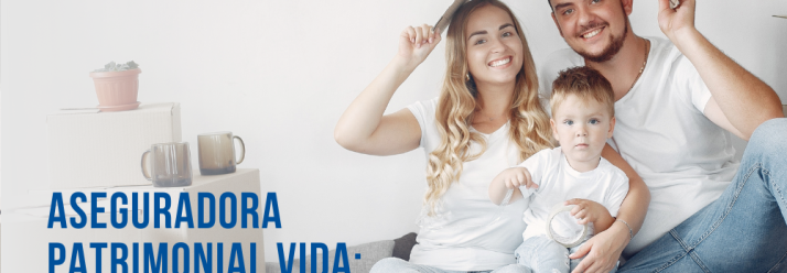 Aseguradora patrimonial vida: cómo proteger tu patrimonio con un seguro de vida